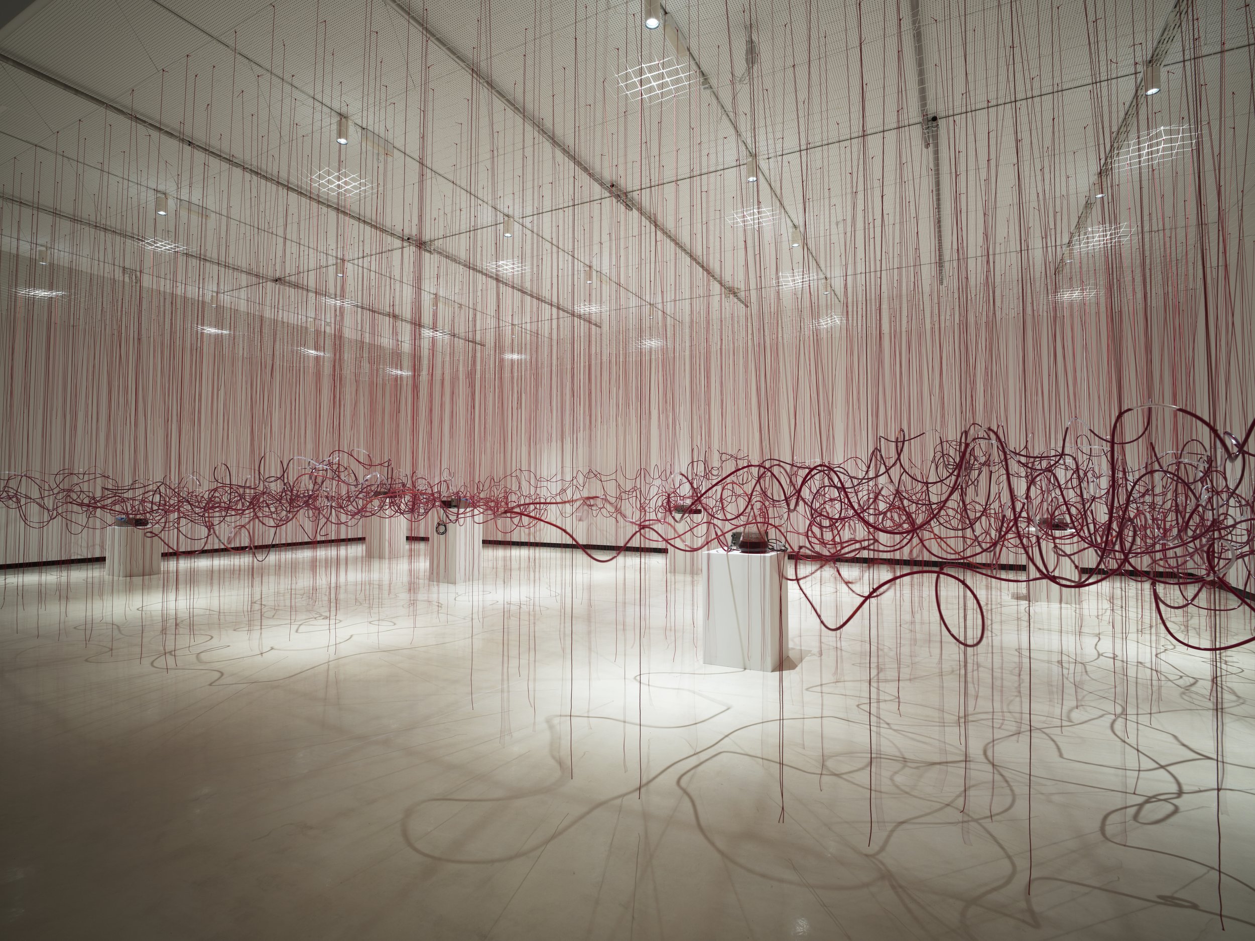CHIHARU SHIOTA–塩田千春
